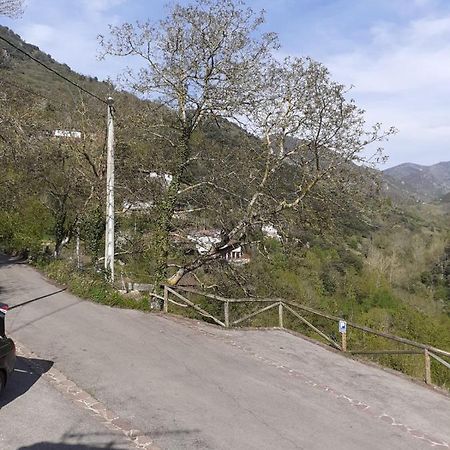 Aparatamento Rural El Oso 3 Pola de Somiedo Εξωτερικό φωτογραφία