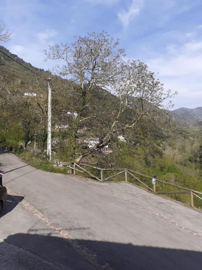 Aparatamento Rural El Oso 3 Pola de Somiedo Εξωτερικό φωτογραφία